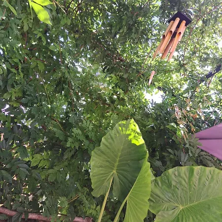 Accommodatie bij particulieren La Tropezienne