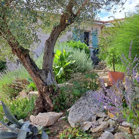 Accommodatie bij particulieren La Tropezienne